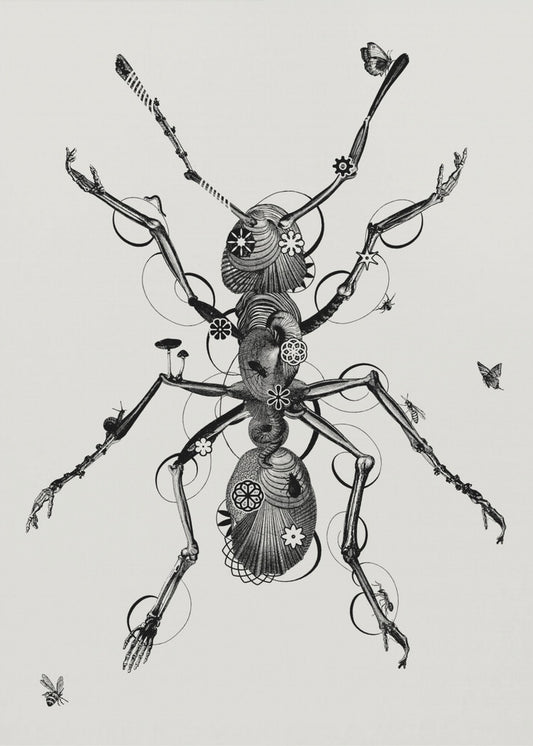 Ant | Poster
