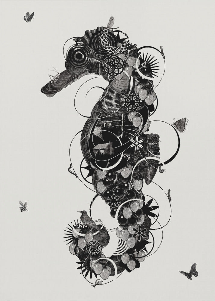 Seahorse | Poster