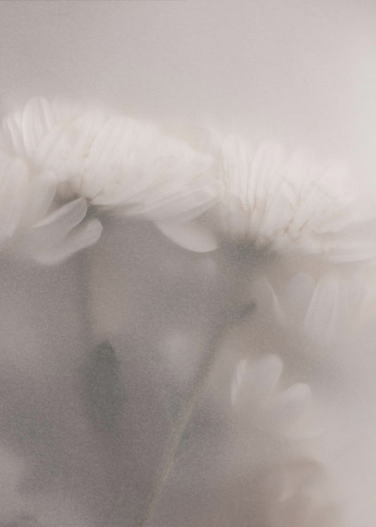 Blurred Flowers 2 | Canvas