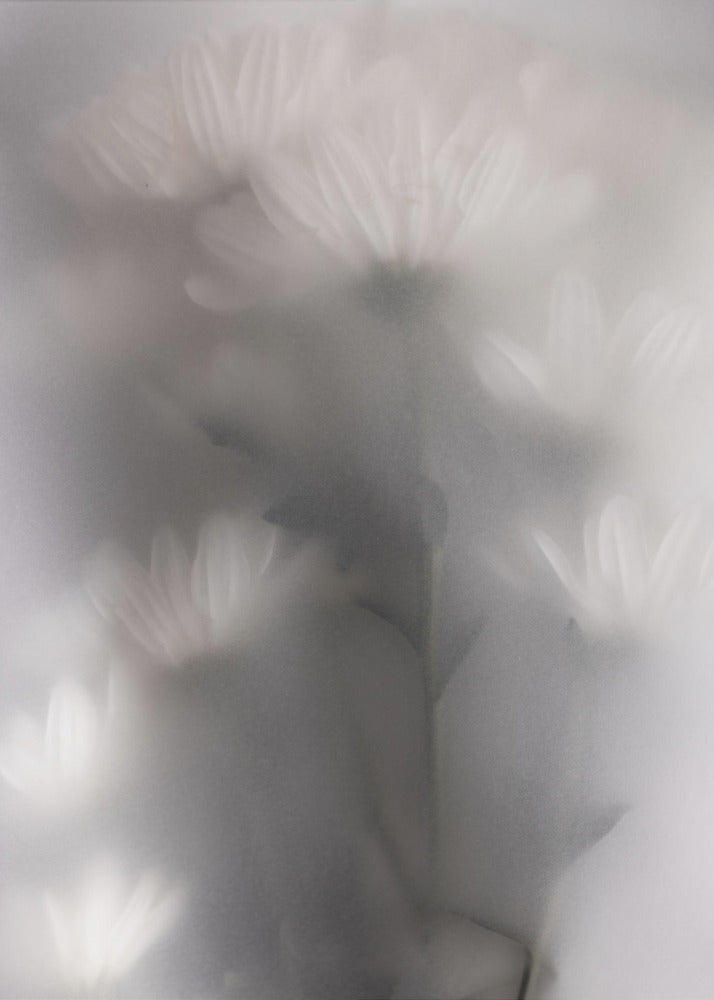 Blurred Flowers 4 | Canvas