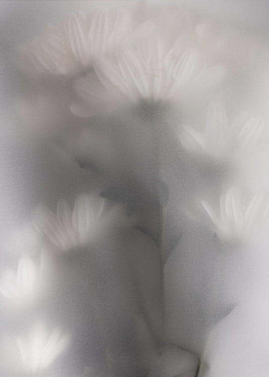 Blurred Flowers 4 | Canvas