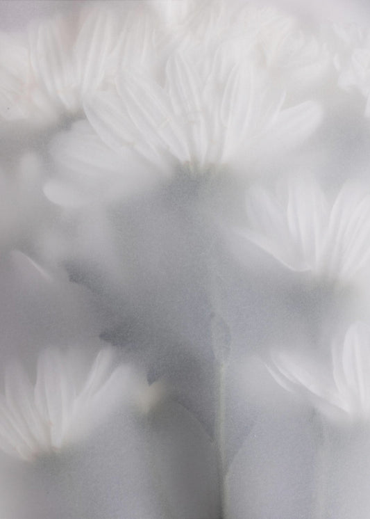 Blurred Flowers 6 | Canvas