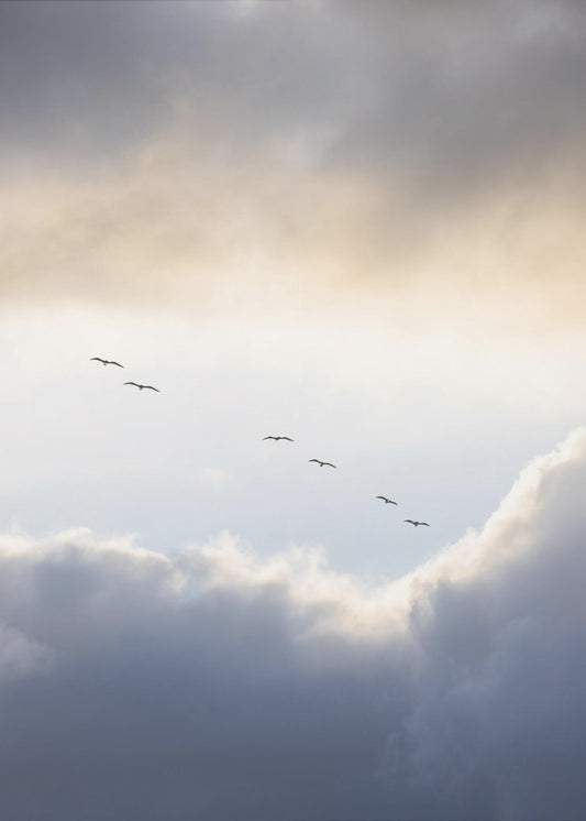 Flying High 10 | Poster