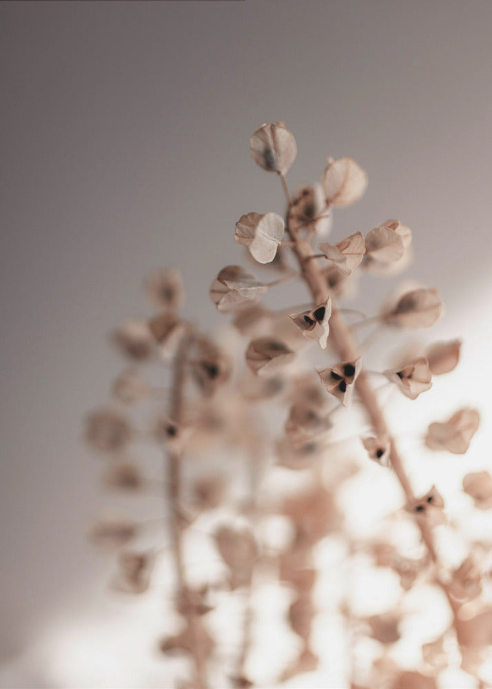 Last Summer 32 | Canvas