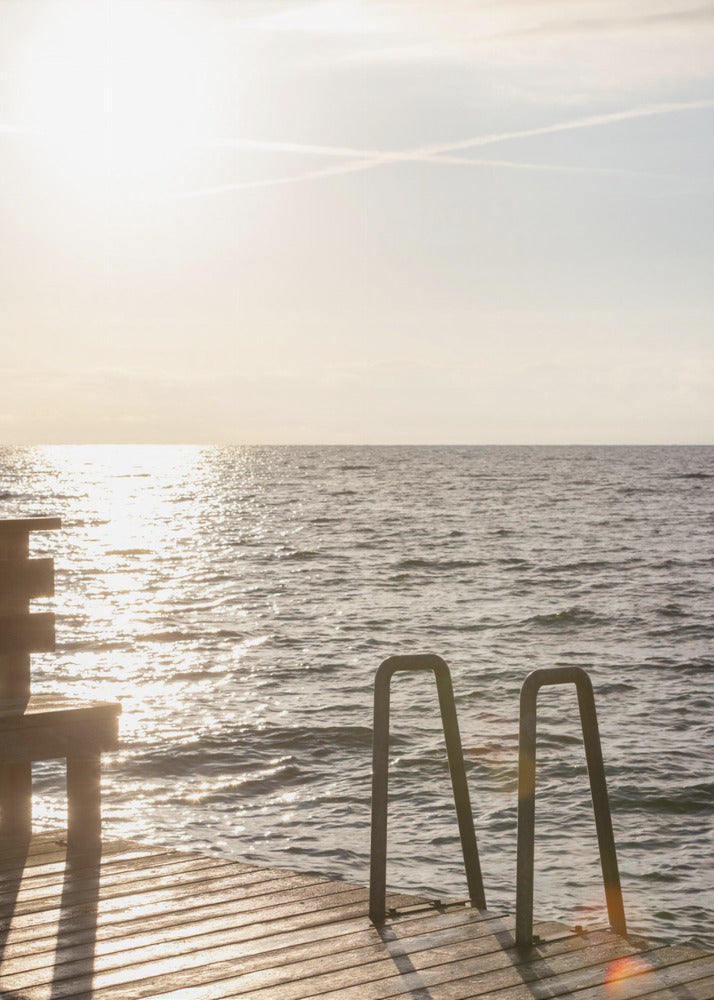 Summer Morning Swim | Canvas