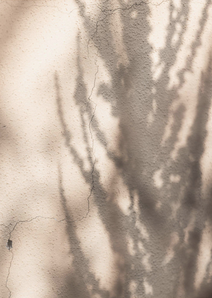 Summer Shadows 7 | Canvas