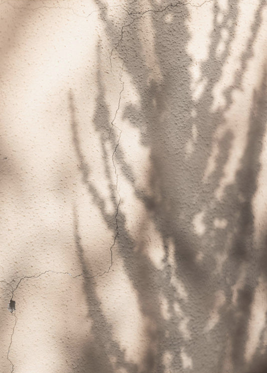 Summer Shadows 7 | Canvas