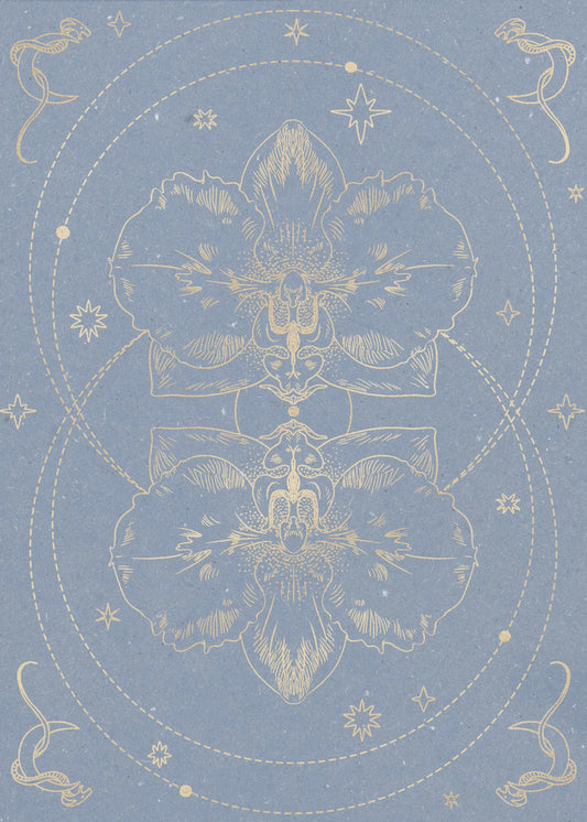 The mystical orchid | Canvas