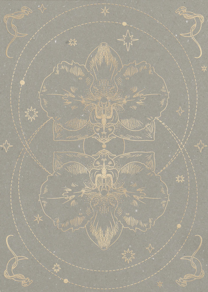 The mystical orchid | Canvas