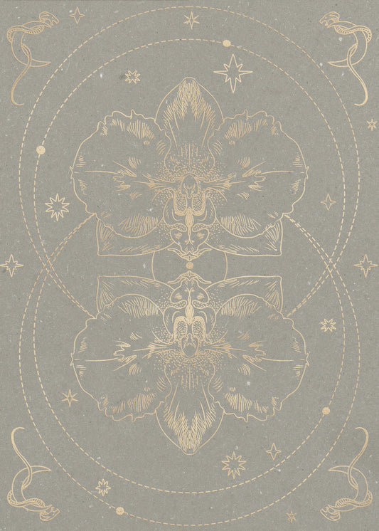 The mystical orchid | Canvas