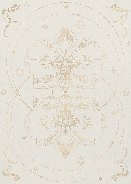 The mystical orchid | Poster