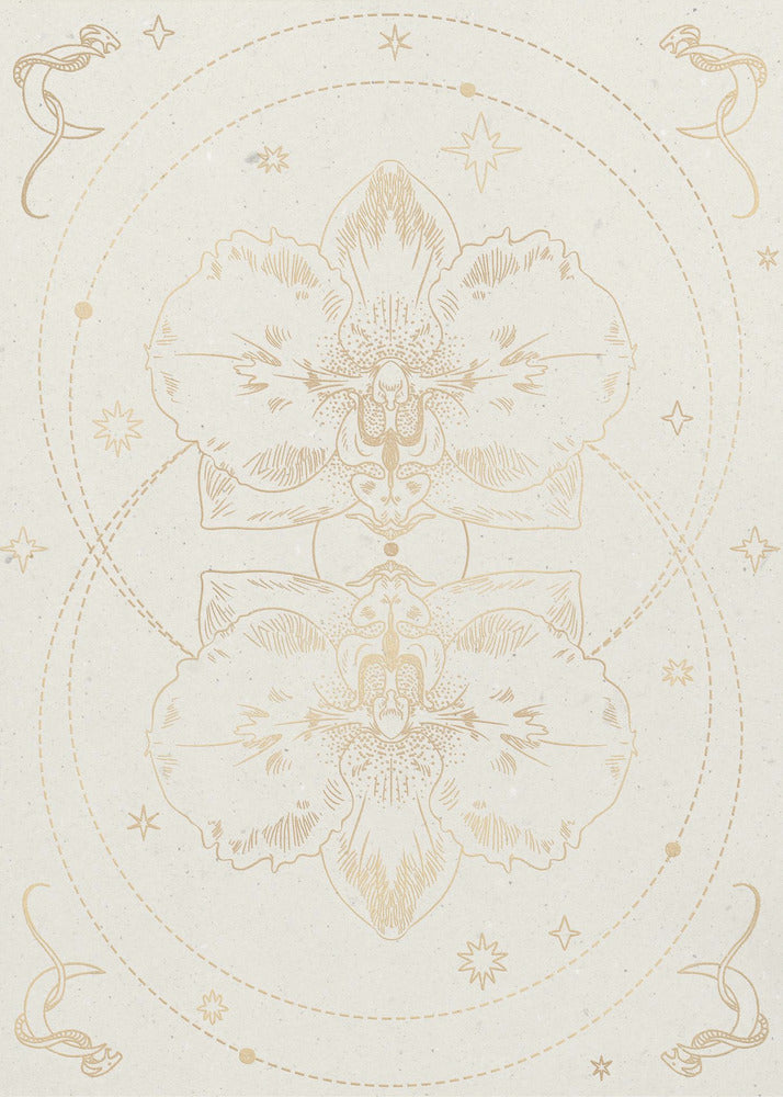 The mystical orchid | Canvas