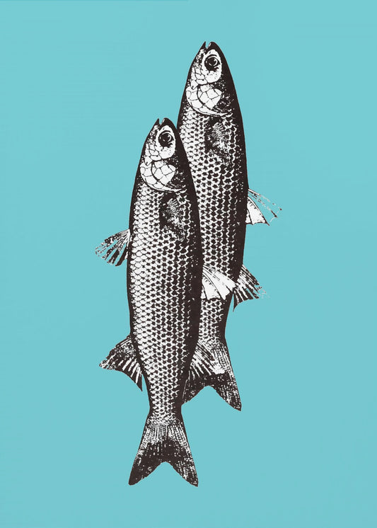 Sardinas | Canvas