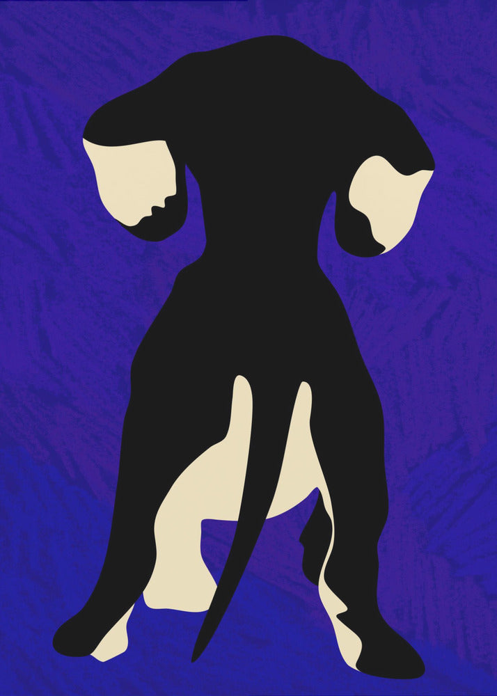 Blue Backdrop | Canvas