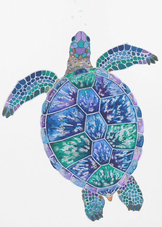 Turtle&#039;s Dreamscape | Poster