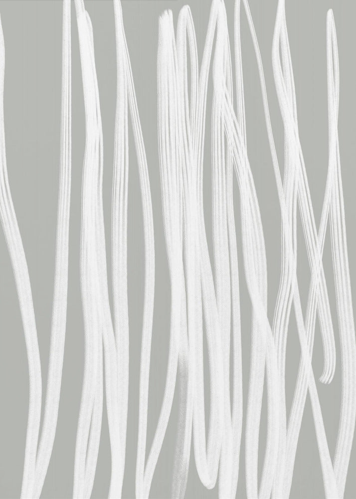 White Linear Strokes | Poster