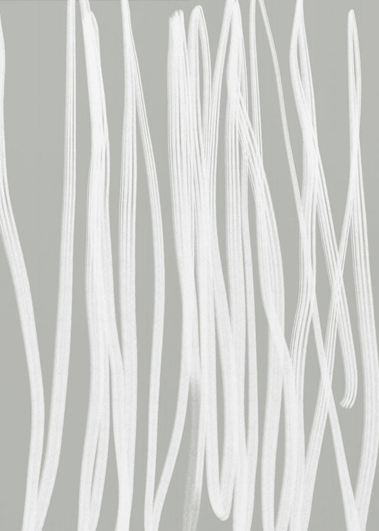 White Linear Strokes | Poster