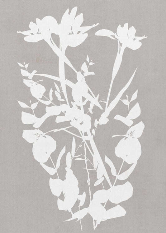 Botanical Illustration 1 | Poster