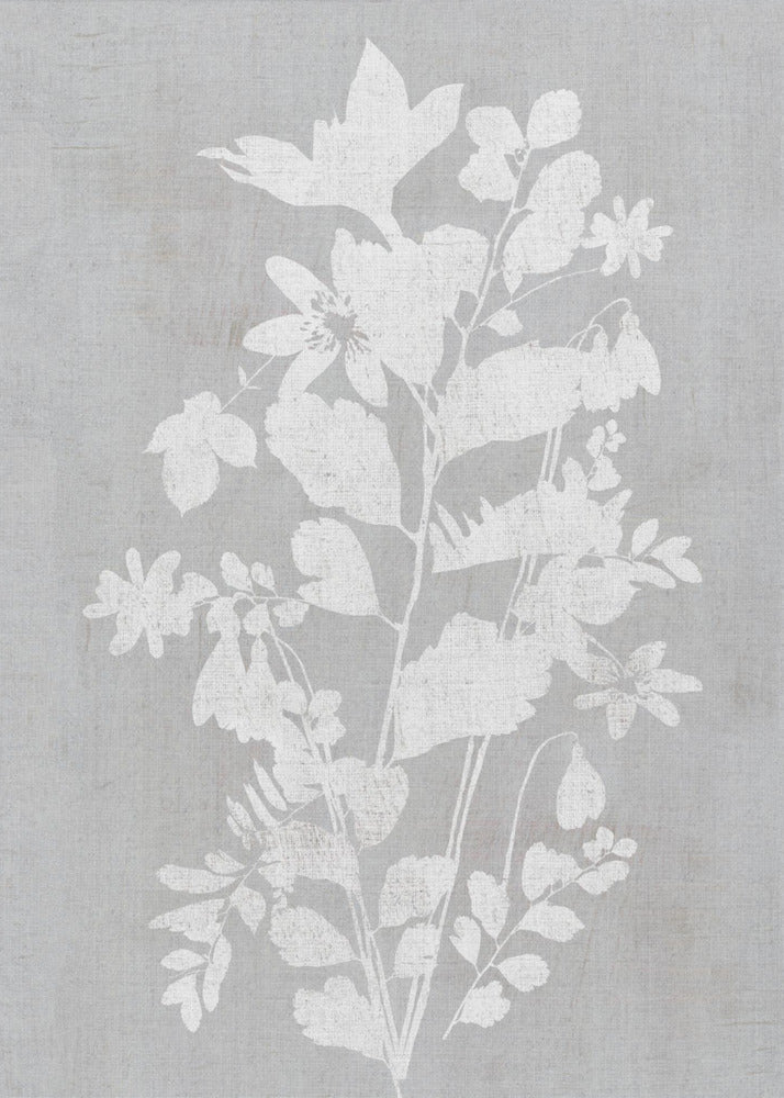 Botanical Illustration 2 | Poster