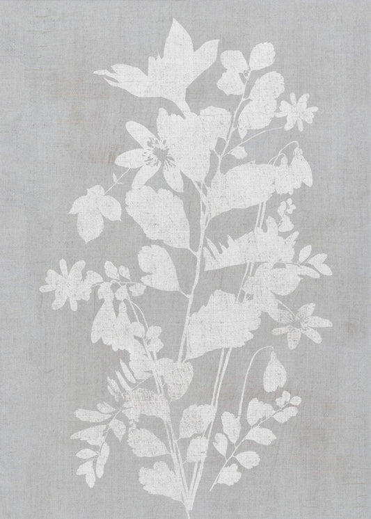 Botanical Illustration 2 | Poster