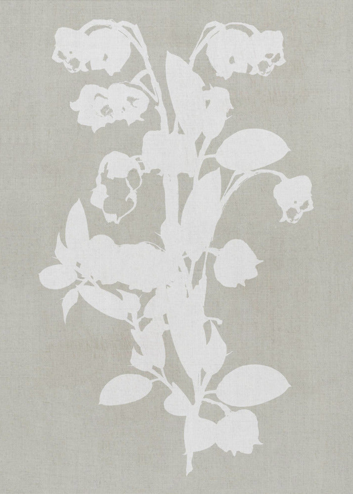 Botanical Illustration 4 | Canvas