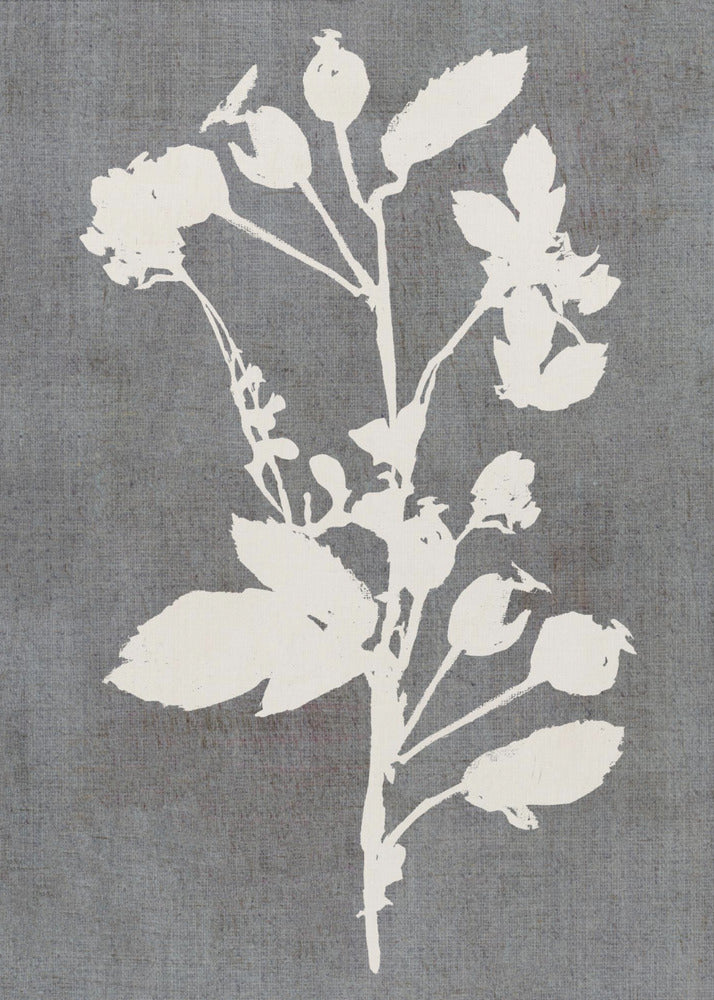 Botanical Illustration 6 | Canvas