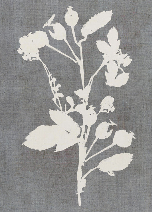 Botanical Illustration 6 | Canvas