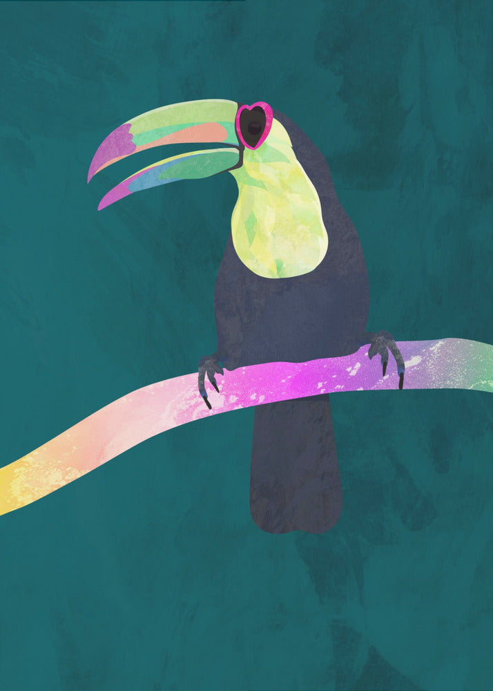 Rainbow toucan | Canvas