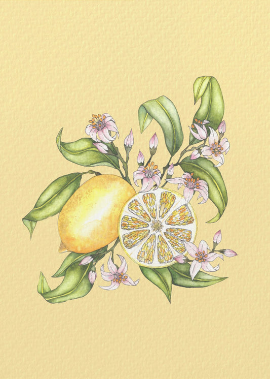 Lemon illustration | Canvas