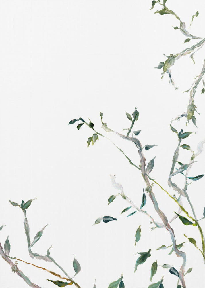 Botanical Branches No1 | Canvas