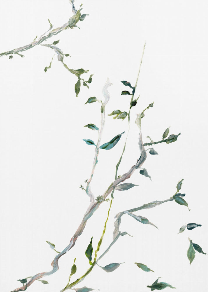 Botanical Branches No2 | Canvas