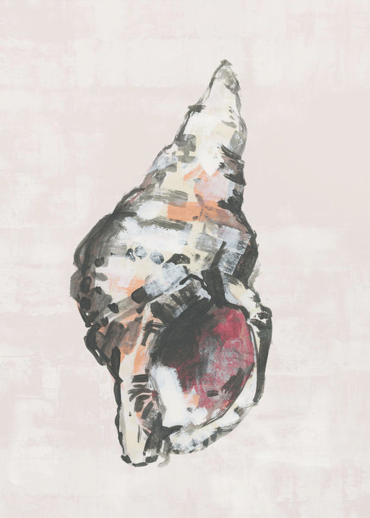 Shell Collector Art Print No 2 | Poster