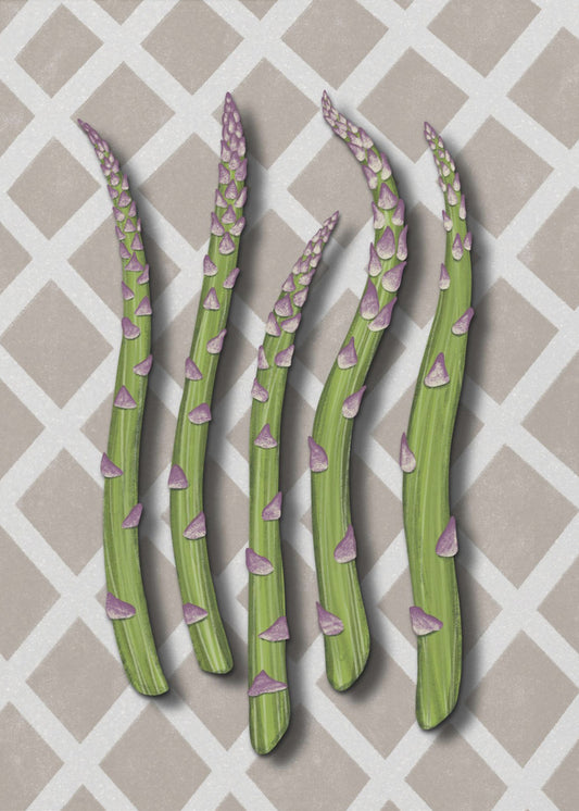 Asparagus | Canvas