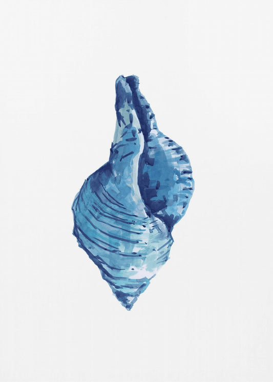 Blue Seashell On White Background No3 | Canvas