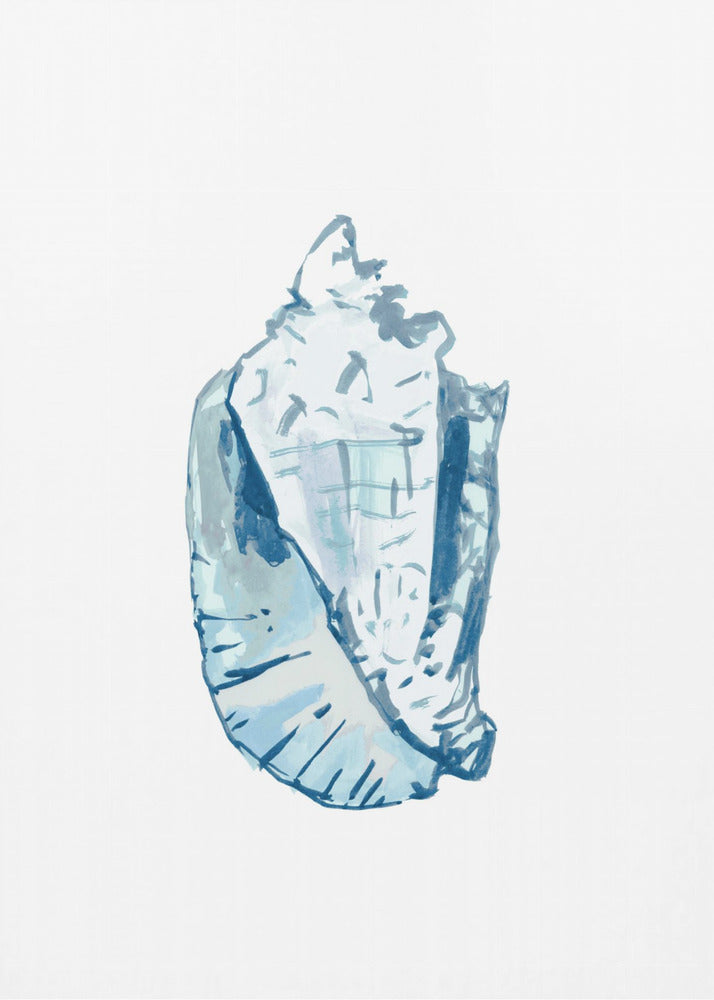 Blue Seashell On White Background No6 | Canvas