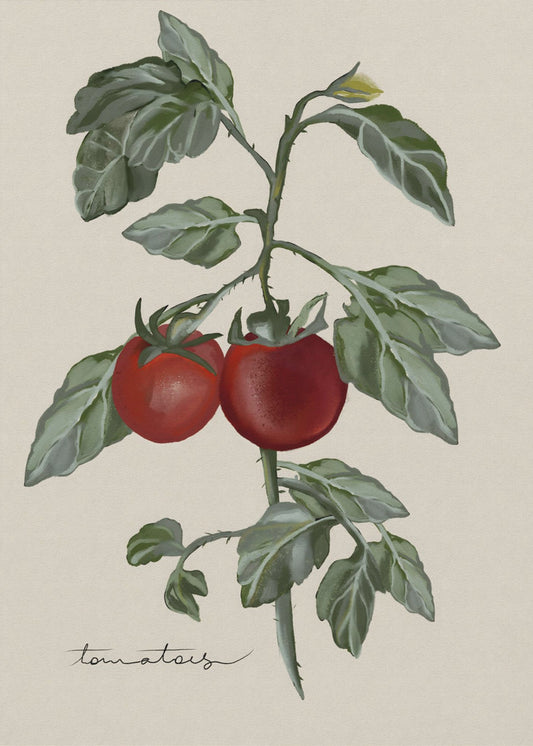 Vintage Garden | Poster