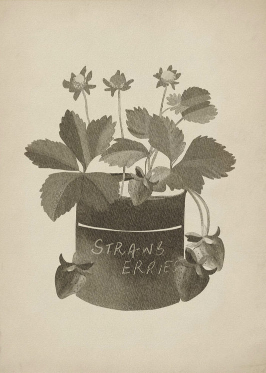 Vintage strawberry plant | Poster