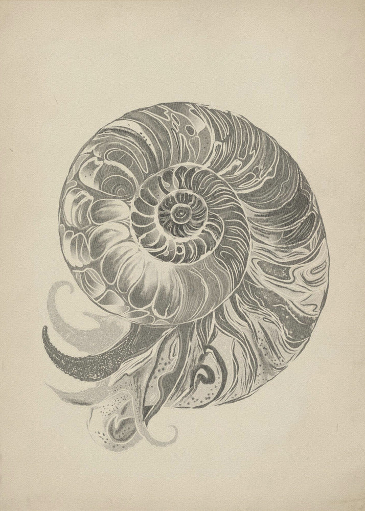 Project (20241106123057) | Poster