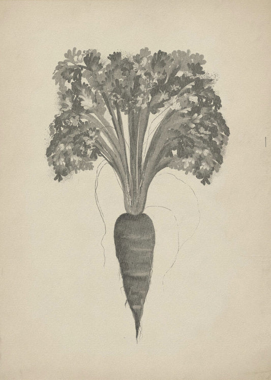 Project (20241106122935) | Canvas