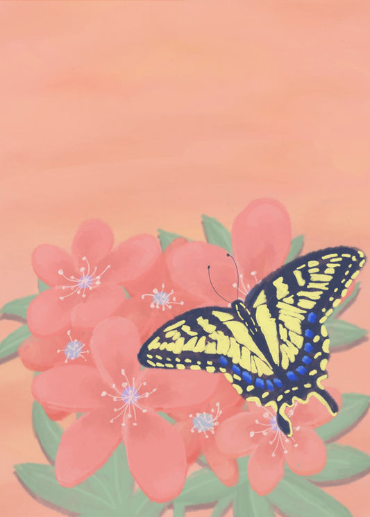 Tiger Swalowtail Butterfly | Poster