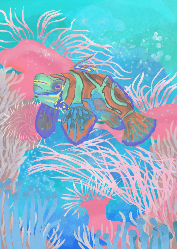 Mandarinfish | Canvas