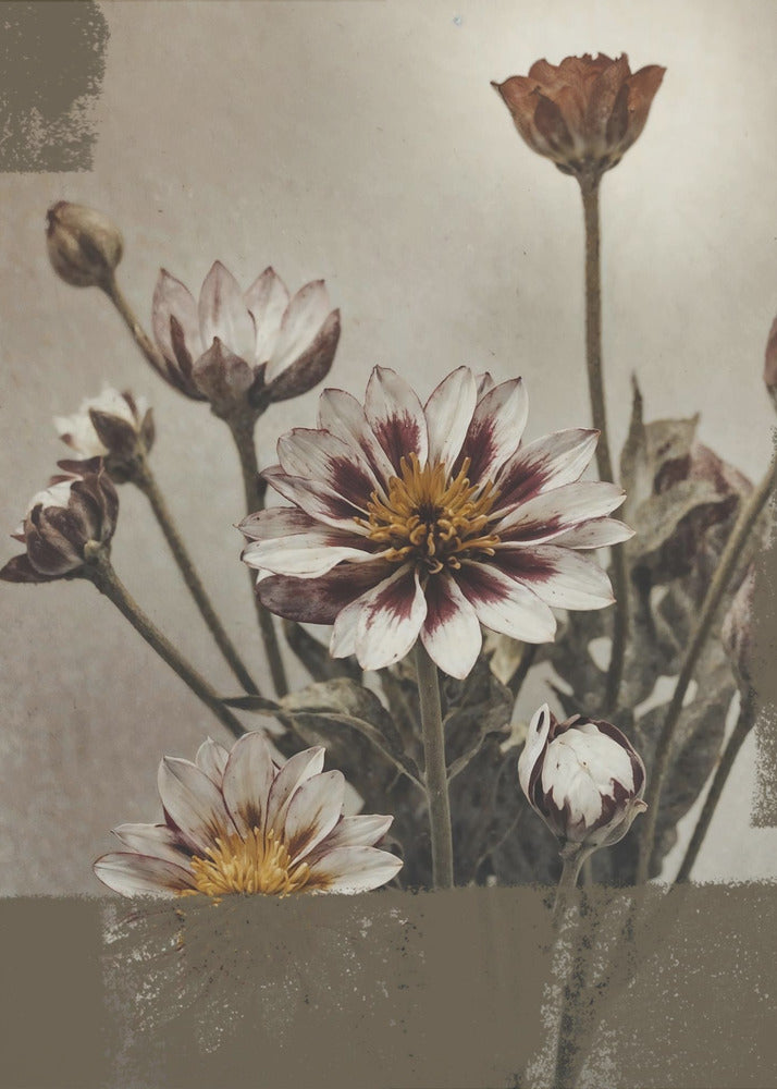 5 Vintage Flowers | Canvas