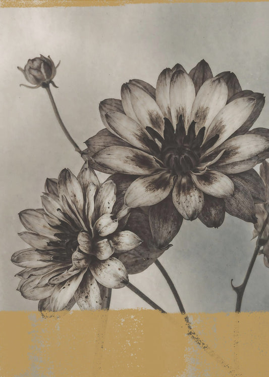 Vintage Flowers No.6 | Canvas