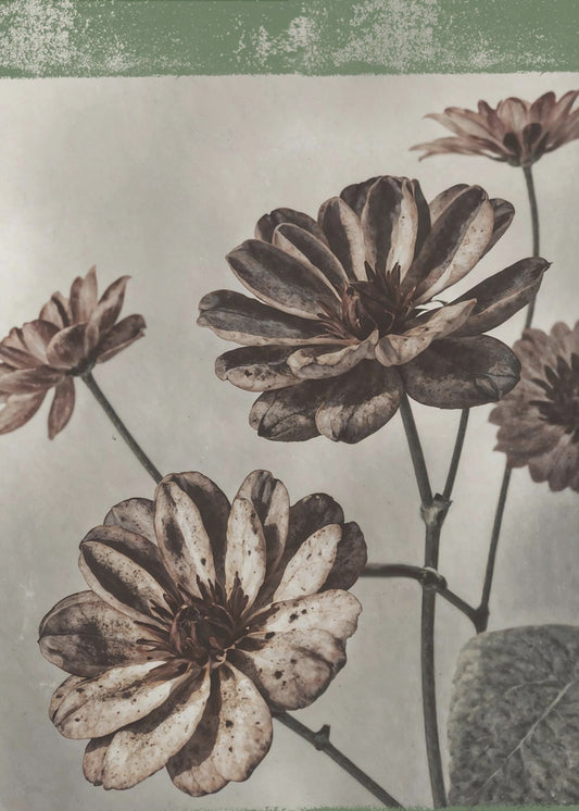 Vintage Flowers No.7 | Poster