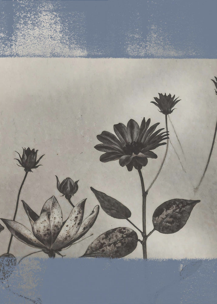 Vintage Flowers No.8 | Poster