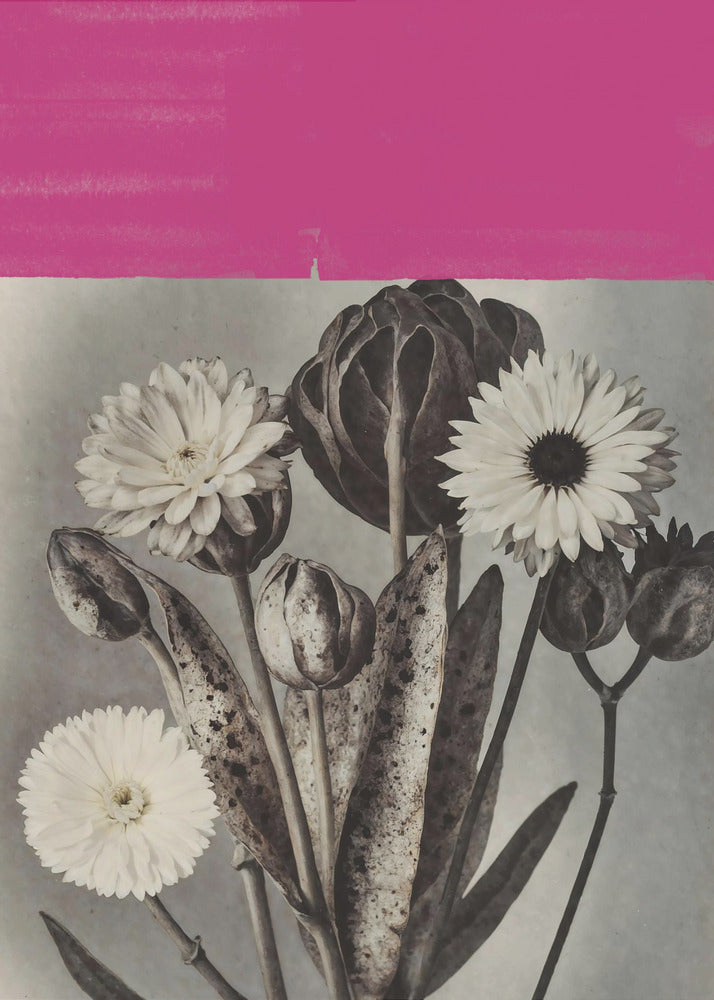 Vintage Flowers No.10 | Poster