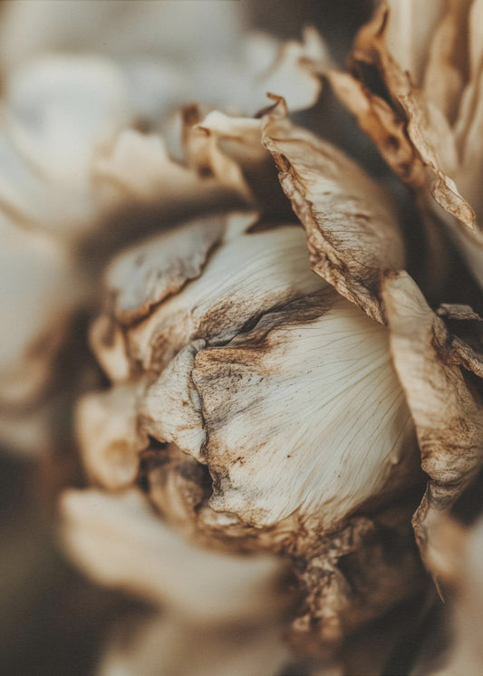 Whispering Petals | Canvas