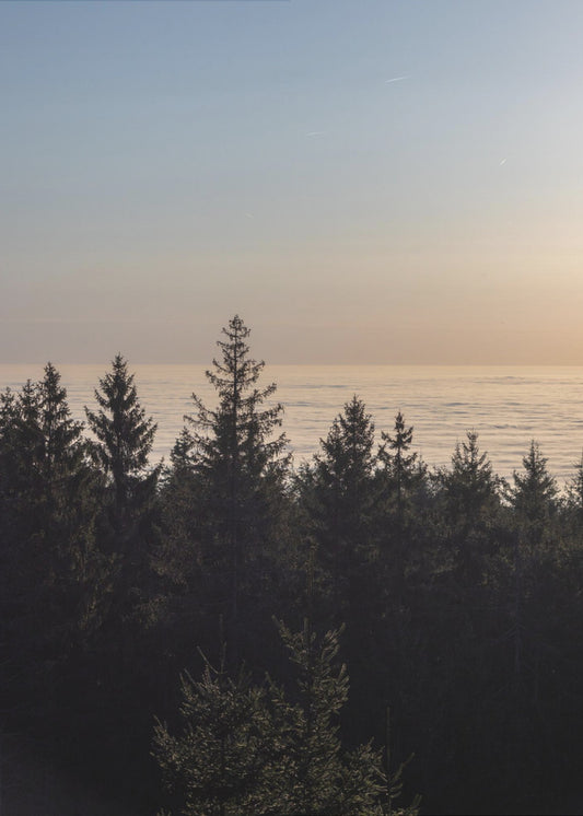 Golden Hour 4 | Canvas