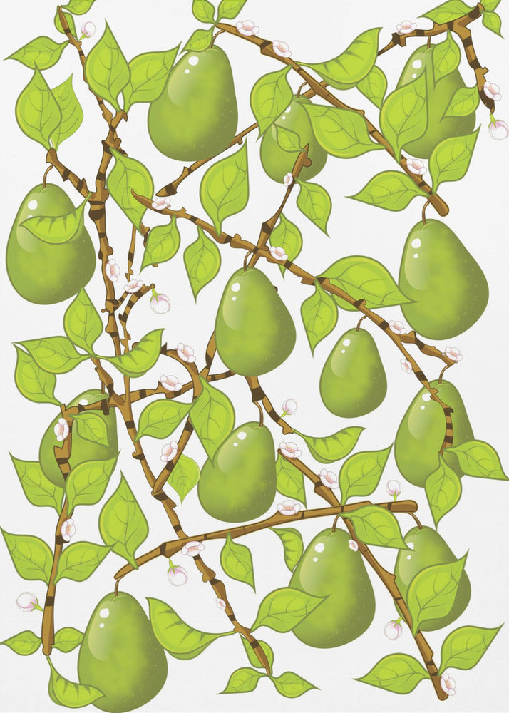 Pear Blossom Tangle | Poster