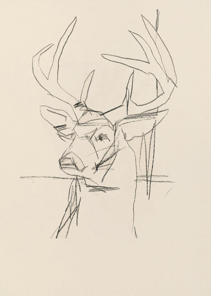 Étude Cerf (stag) No.1 | Canvas